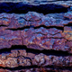 Illustration for article titled 36 Tantalizing Photos Of Textures